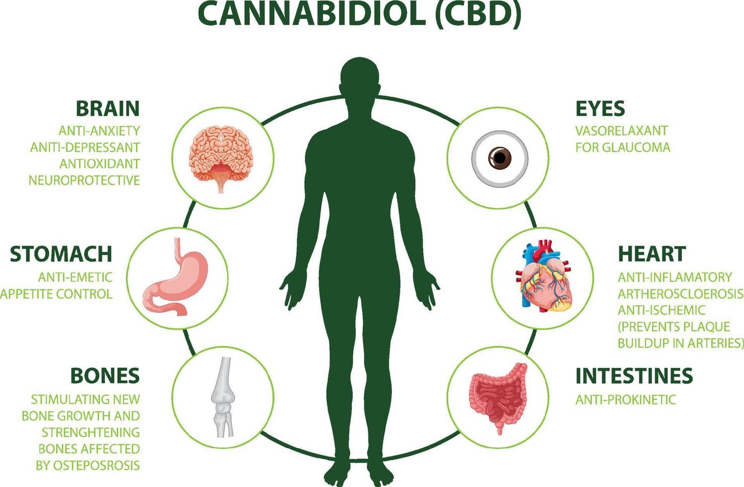 diagrama de beneficios de cbd para la salud física vector