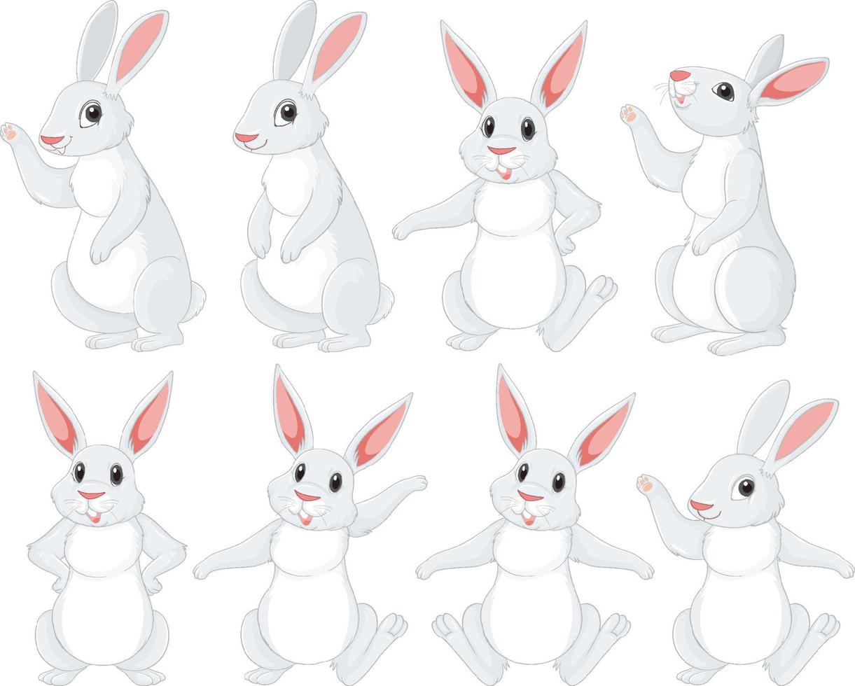 White rabbits in different poses set vector