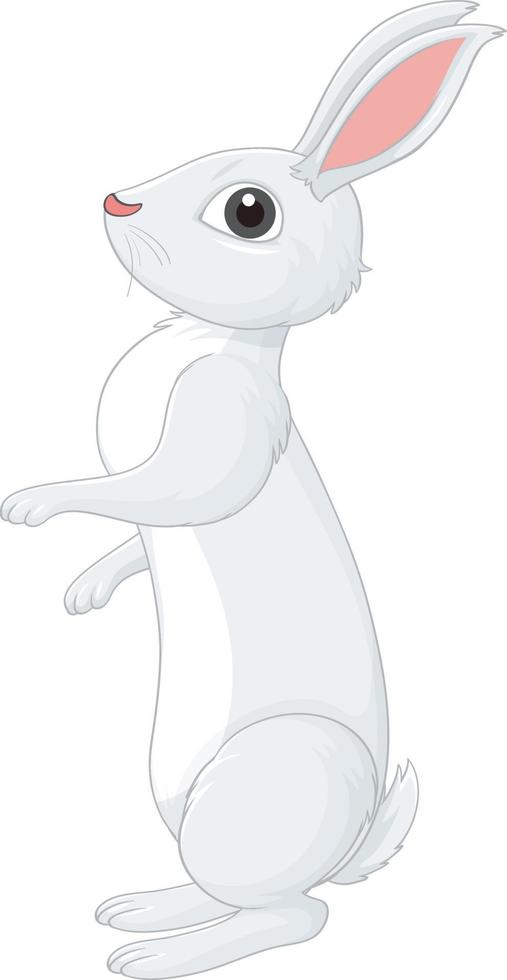 White rabbit cartoon character vector