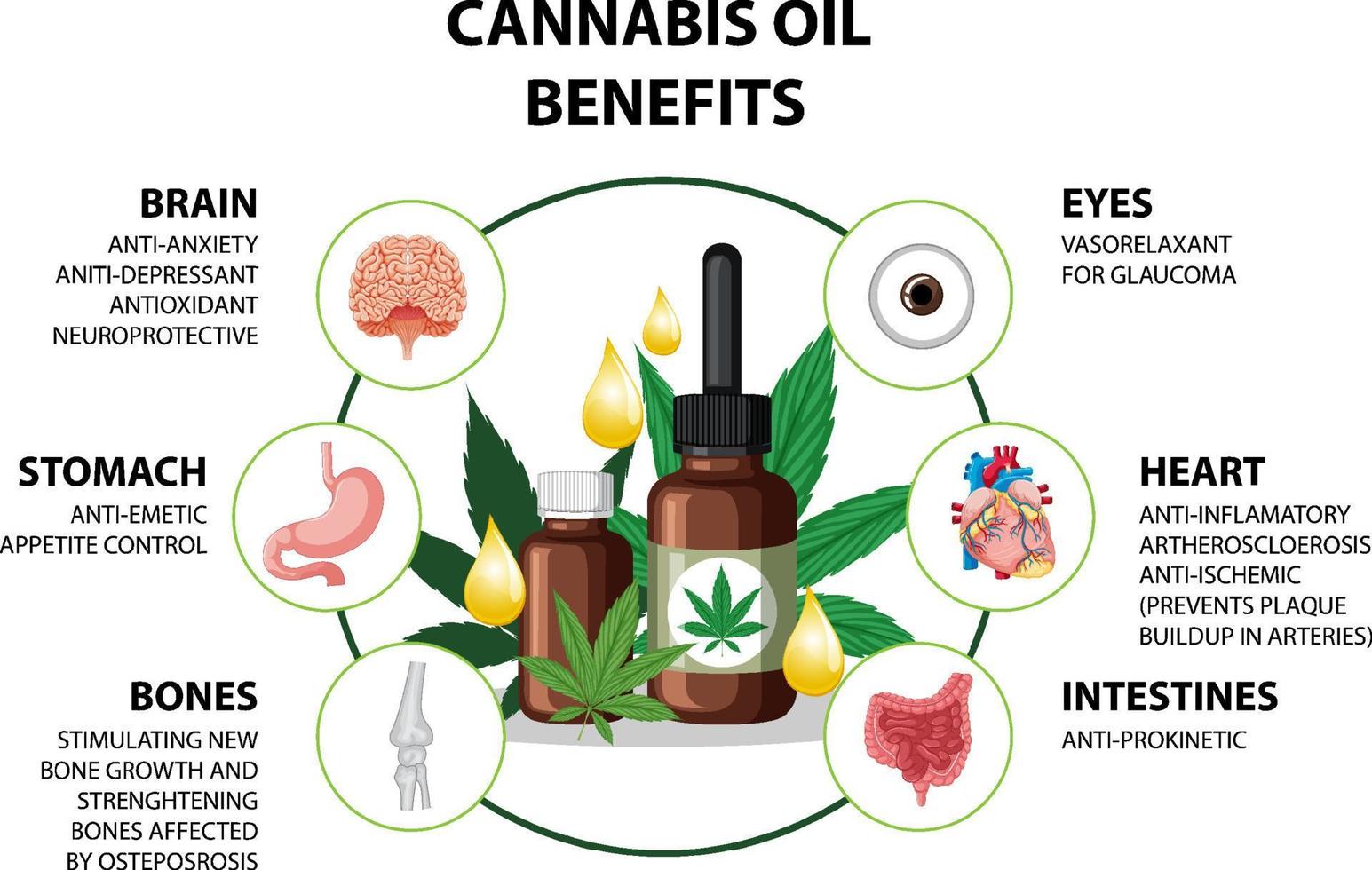 Benefits of CBD for physical health diagram vector