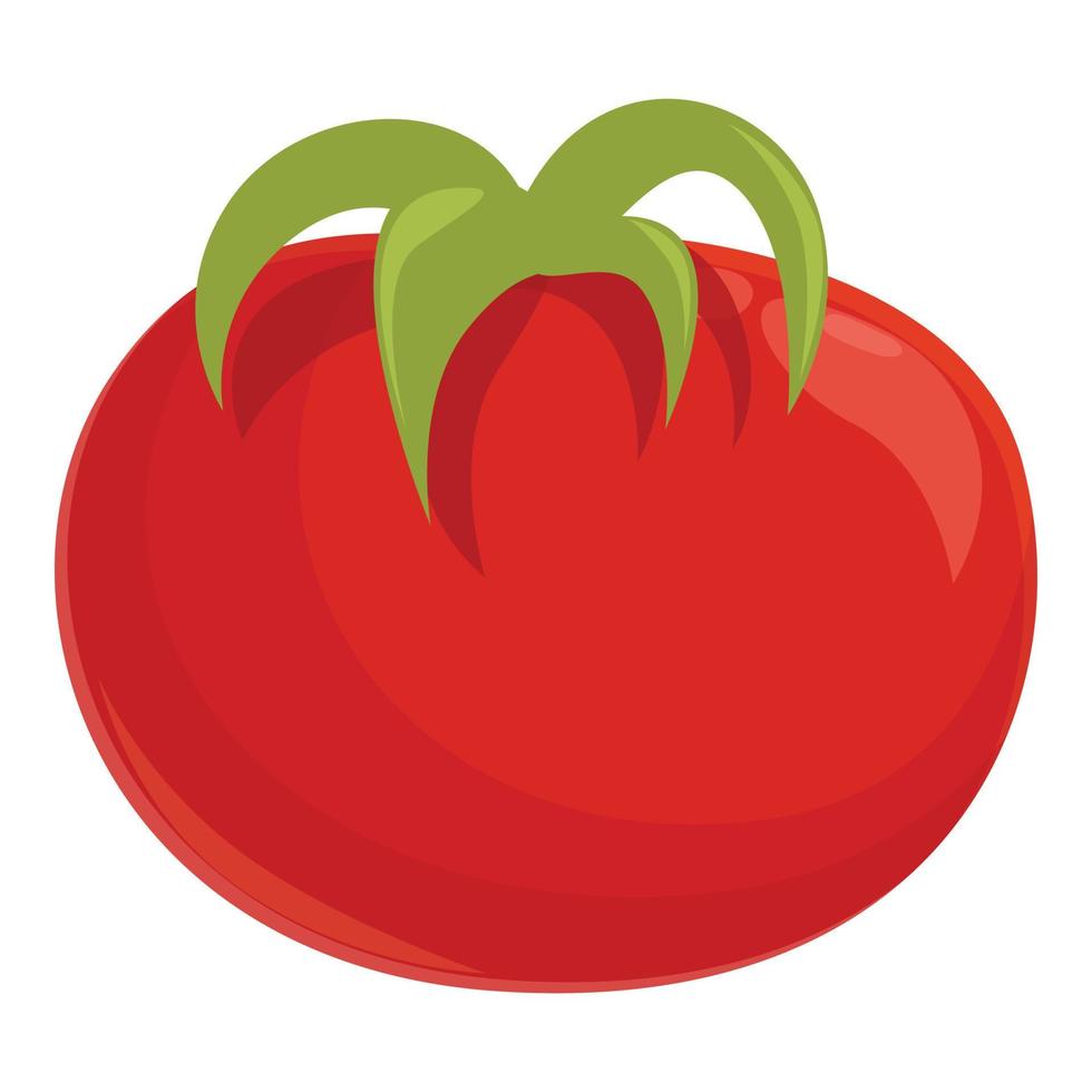 vector de dibujos animados de icono de tomate rojo. verdura de cereza  14293434 Vector en Vecteezy