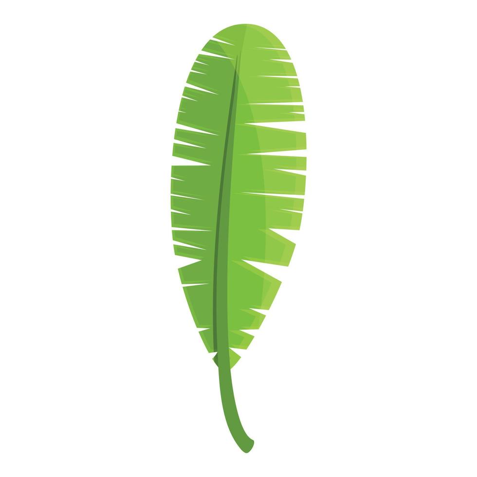 icono de hoja larga tropical de fiesta de verano, estilo de dibujos animados vector