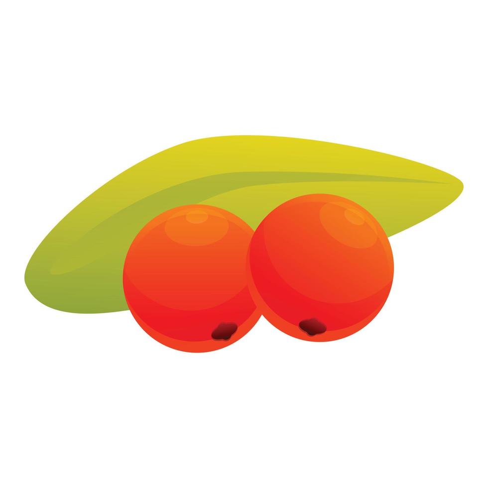 Rowan fresh icon, cartoon style vector