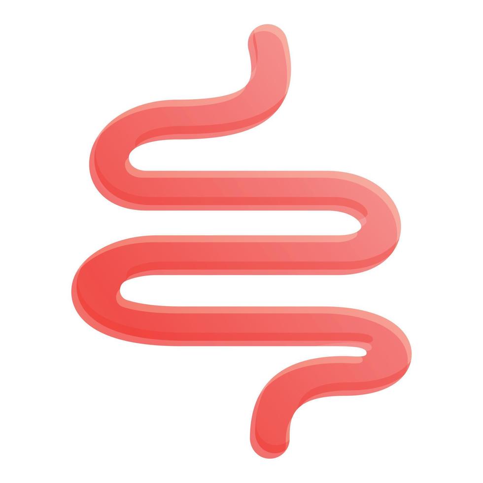 Small intestine icon, cartoon style vector