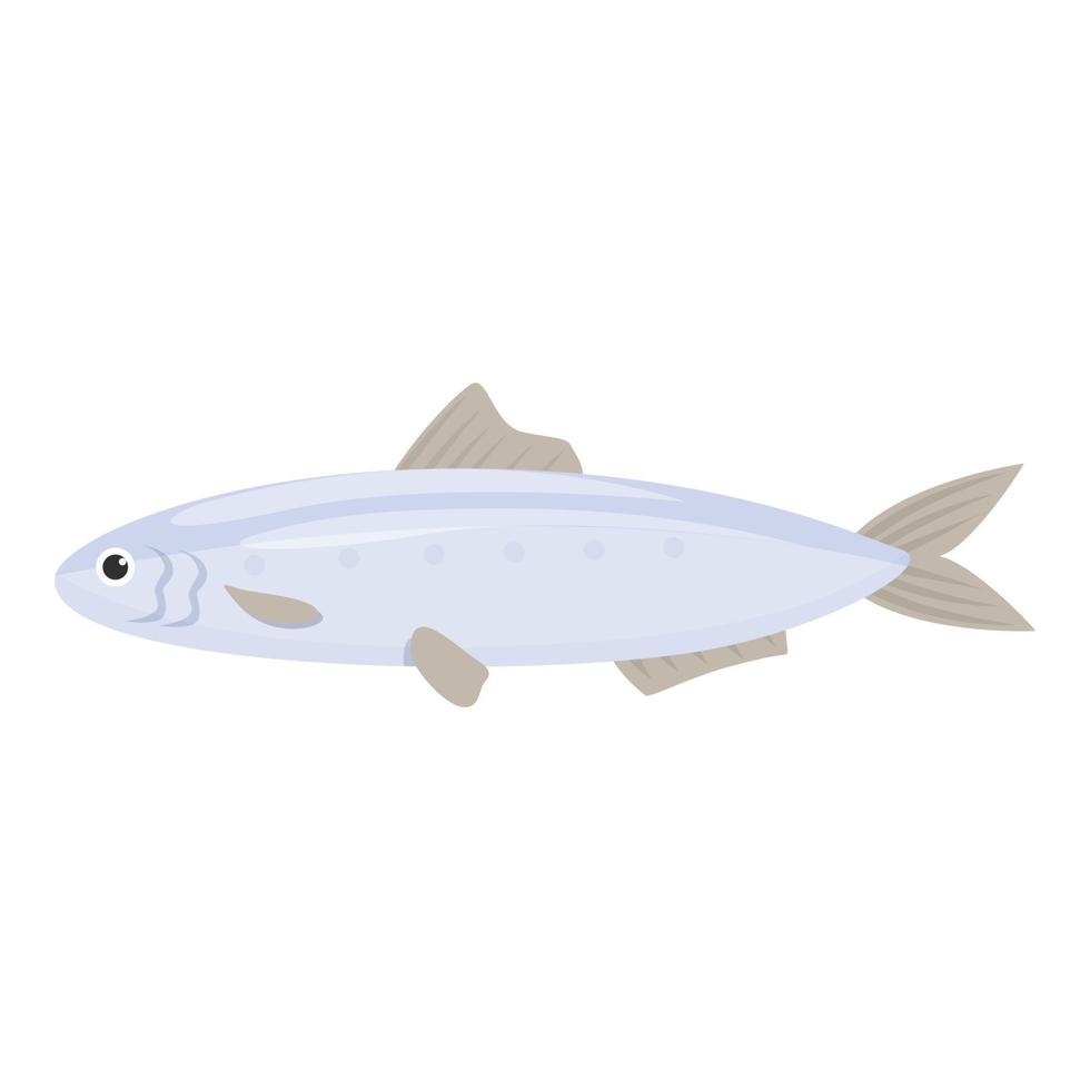 vector de dibujos animados de icono de sardina de marisco. comida del océano