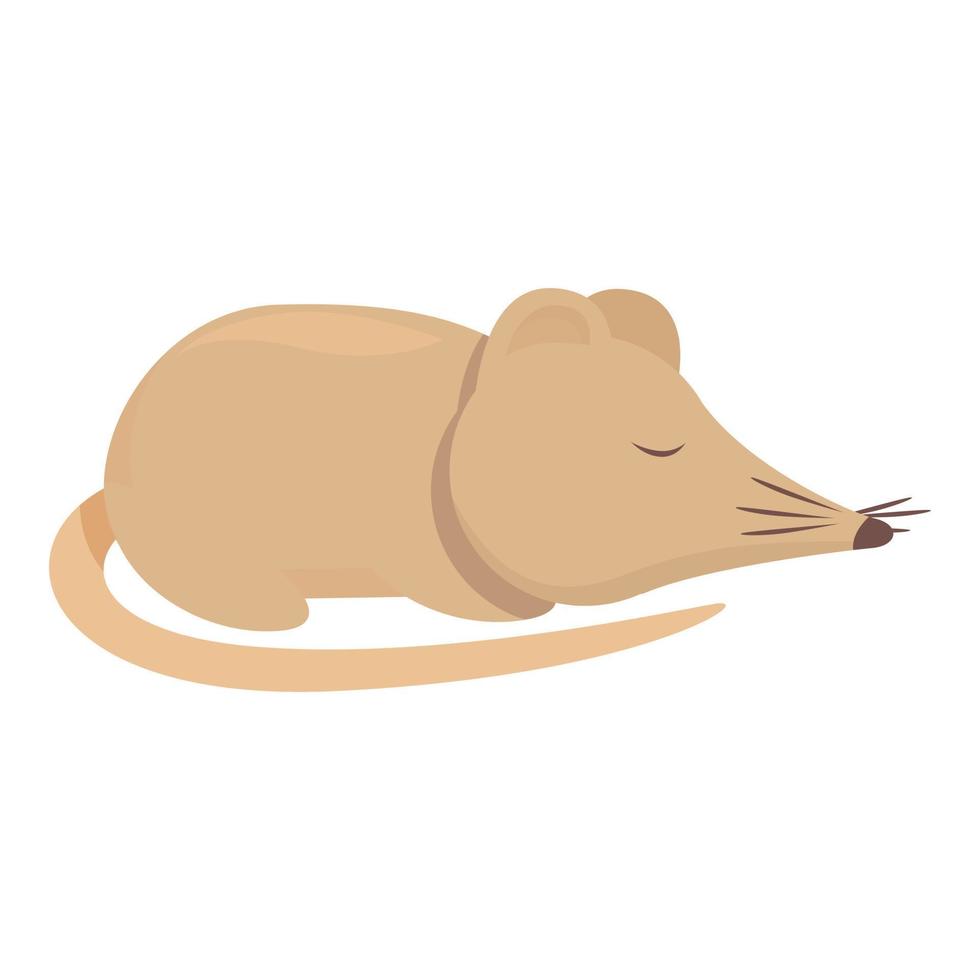 vector de dibujos animados de icono de musaraña dormida. agricultura animales