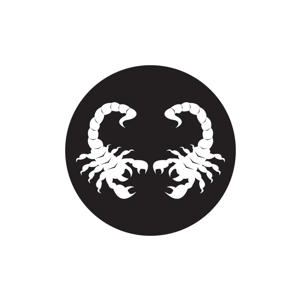 Scorpio Icon and symbol vector template