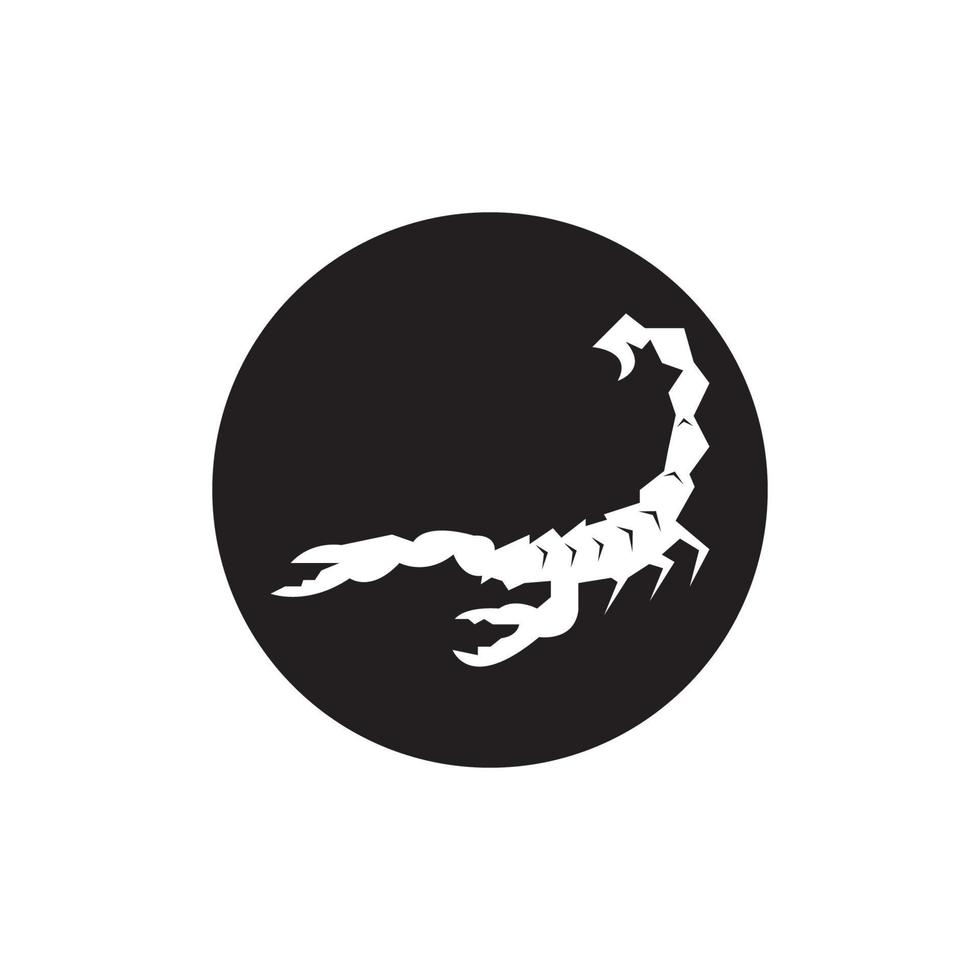 Scorpio Icon and symbol vector template