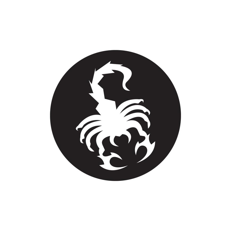 Scorpio Icon and symbol vector template