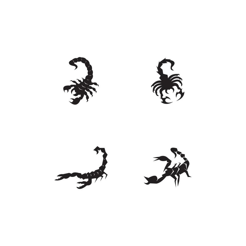 Scorpio Icon and symbol vector template