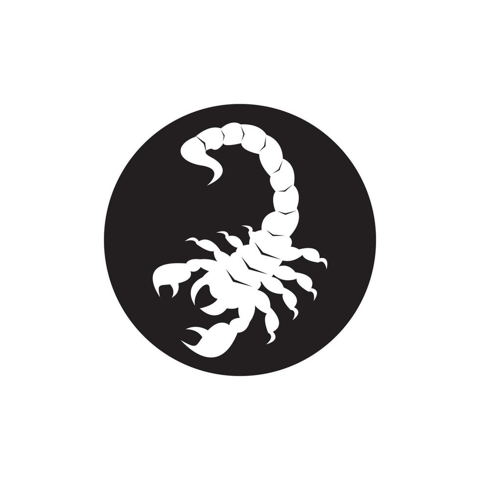 Scorpio Icon and symbol vector template