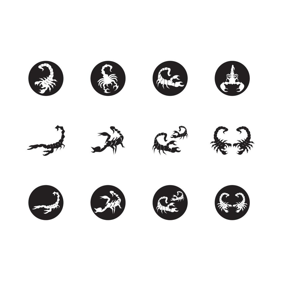 Scorpio Icon and symbol vector template