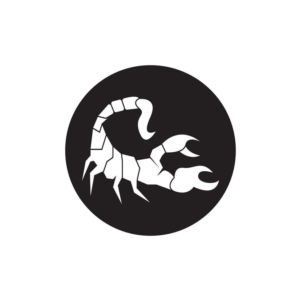 Scorpio Icon and symbol vector template