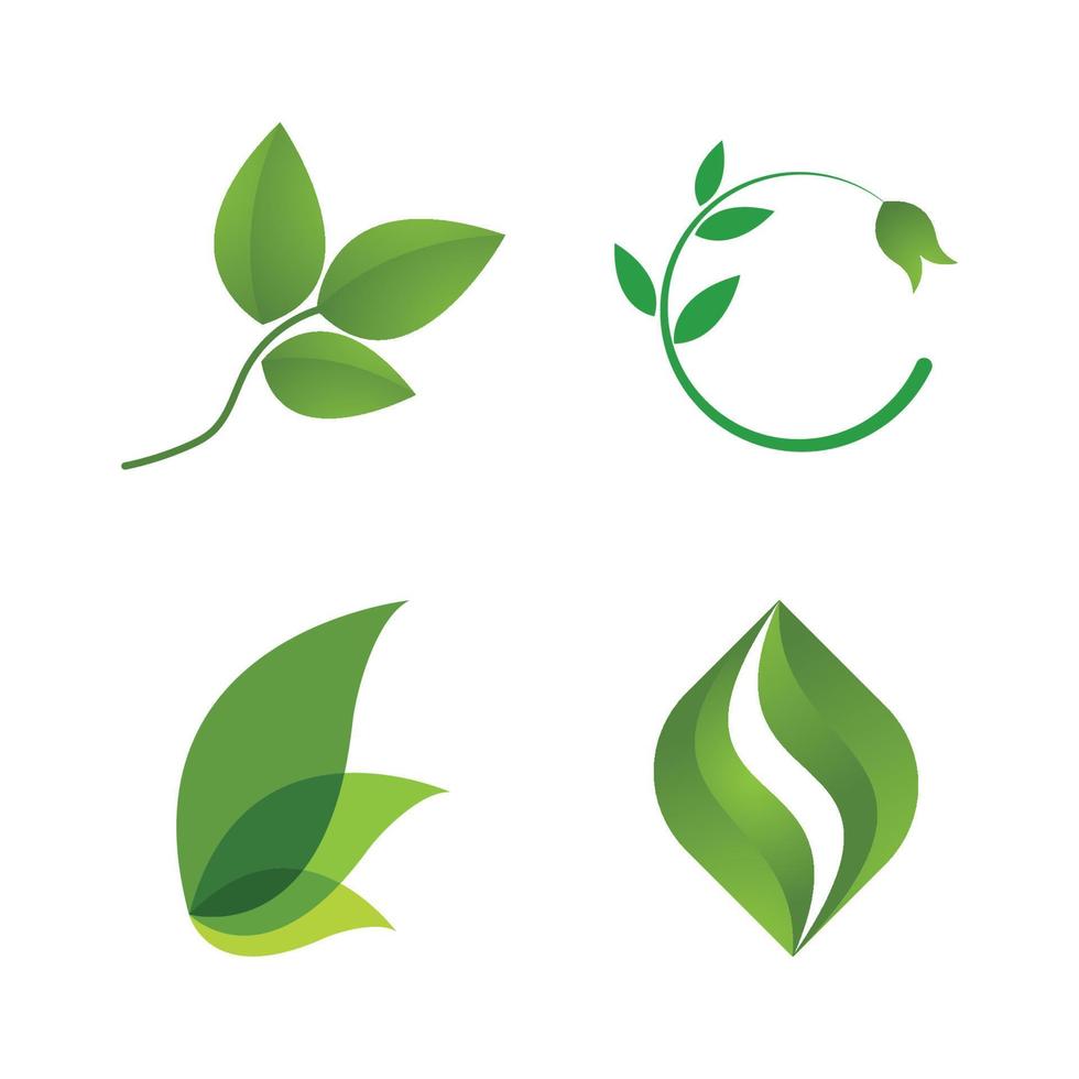 logo de hoja verde vector