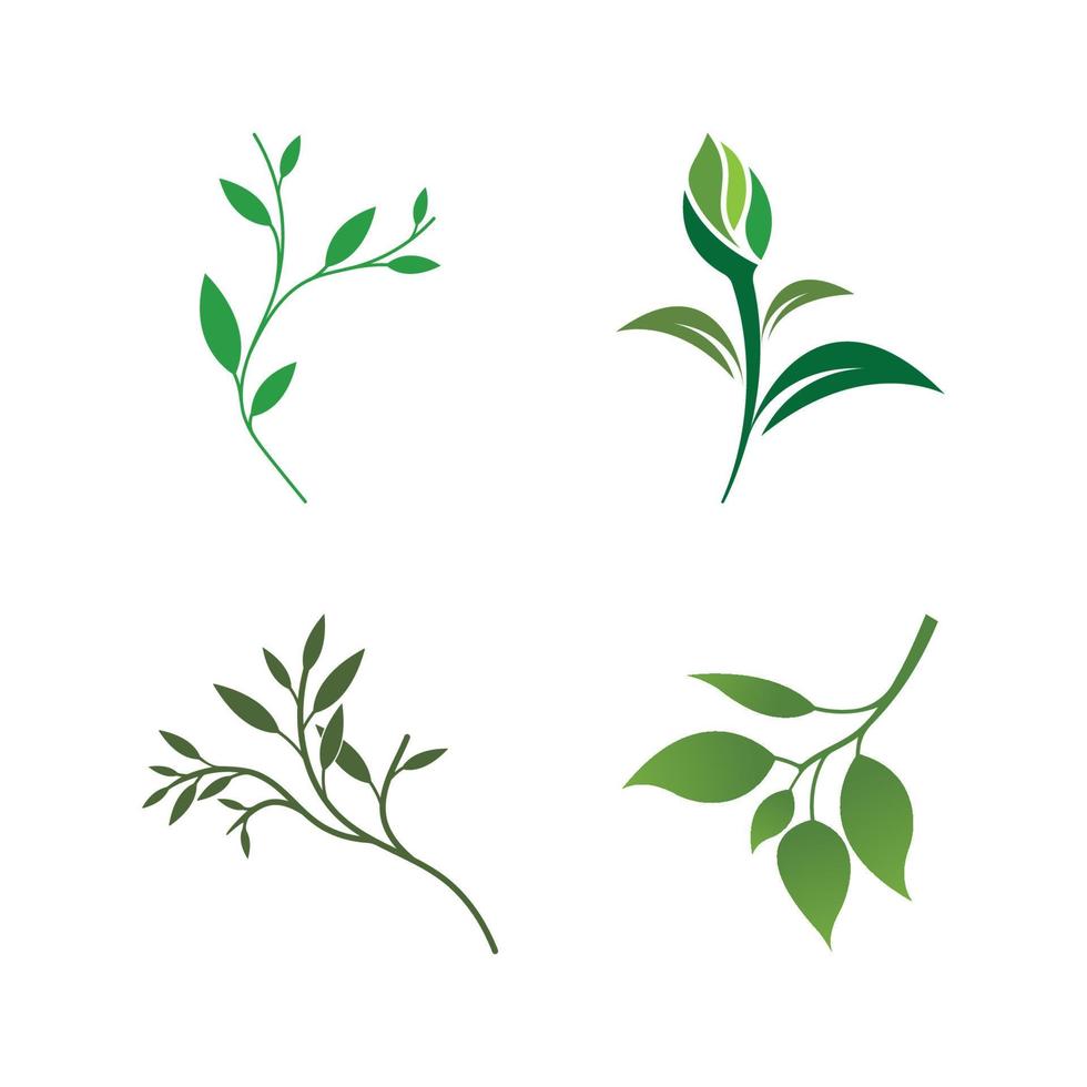 Green leaf logo vector