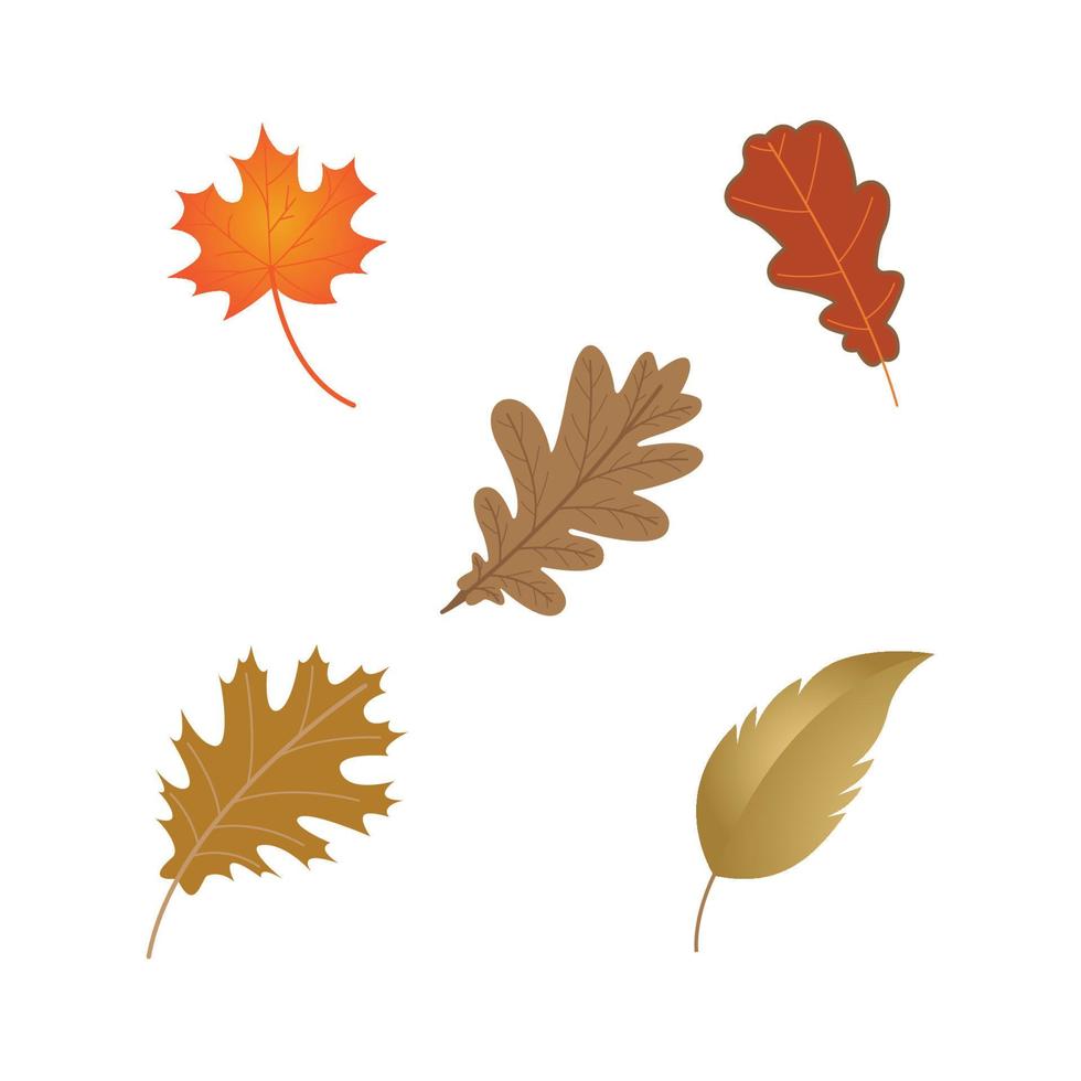 Oak Leaf Logo vector