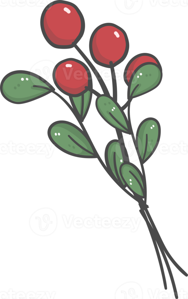 cute doodle christmas mistletoe branch hand drawn png