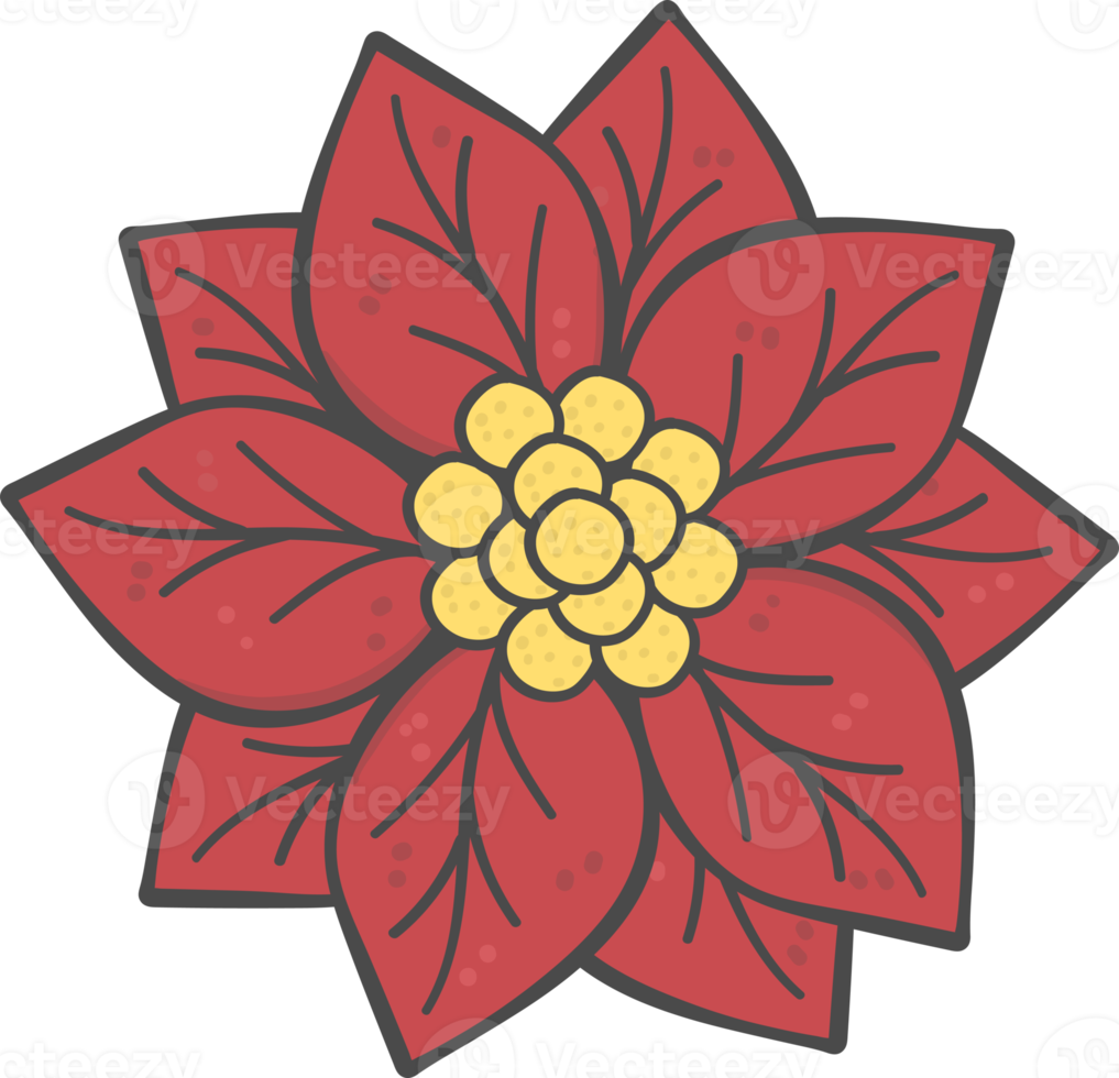 Poinsettia doodle hand drawn png