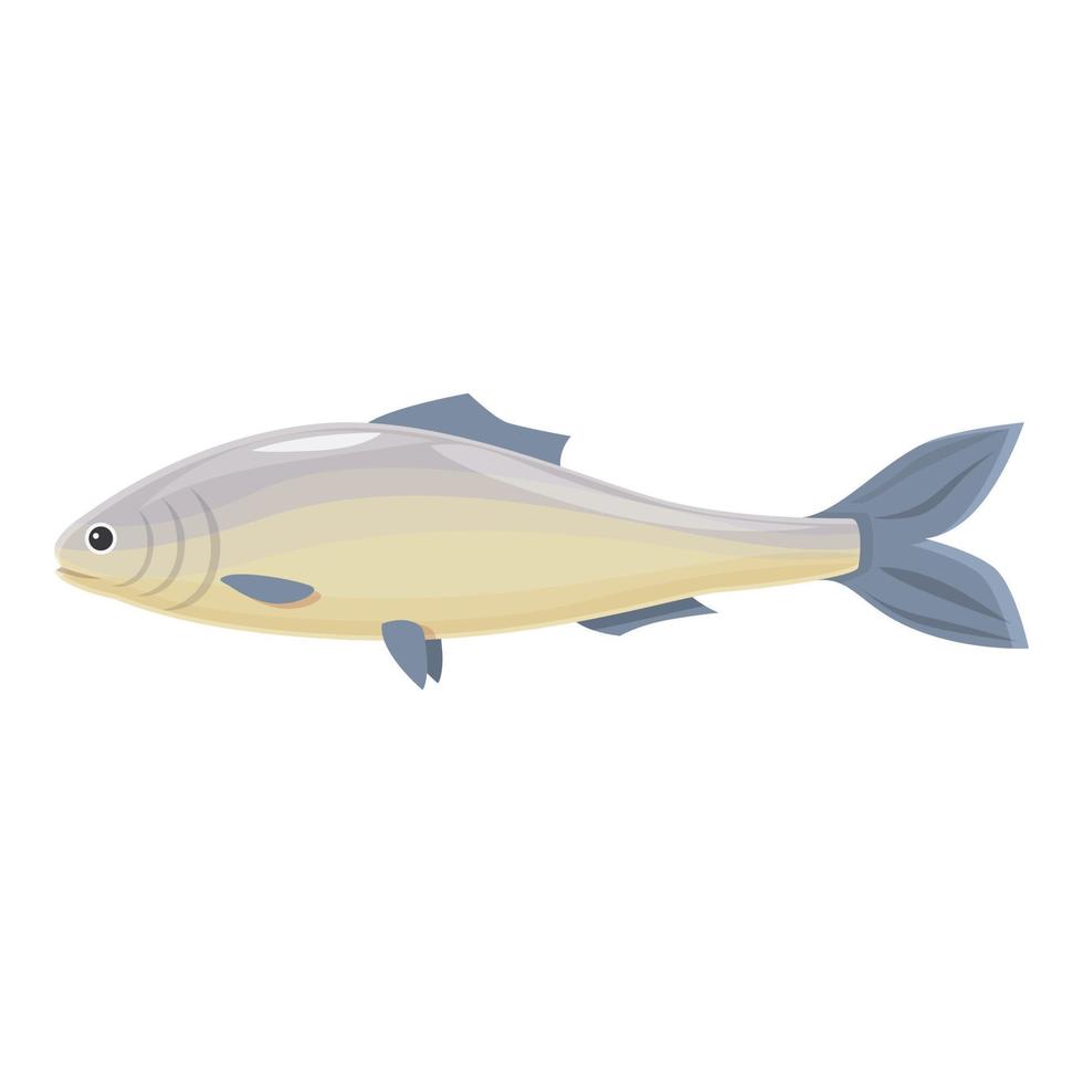 vector de dibujos animados de icono de arenque de trucha. pescado de mar