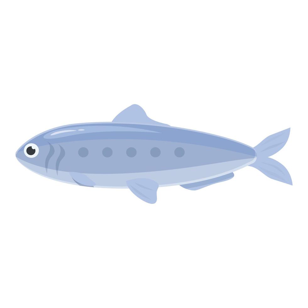 vector de dibujos animados de icono de sardina oceánica. pescados y mariscos