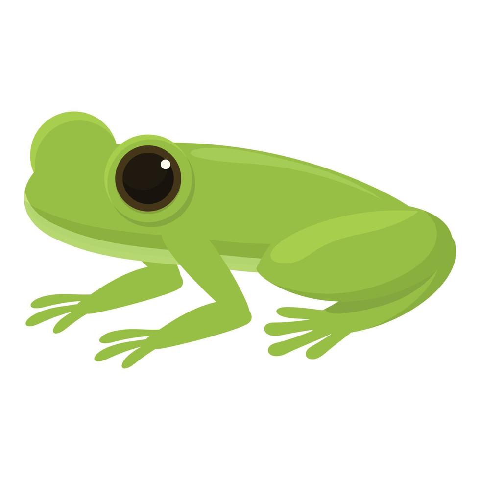 Exotic frog icon cartoon vector. Cute green vector