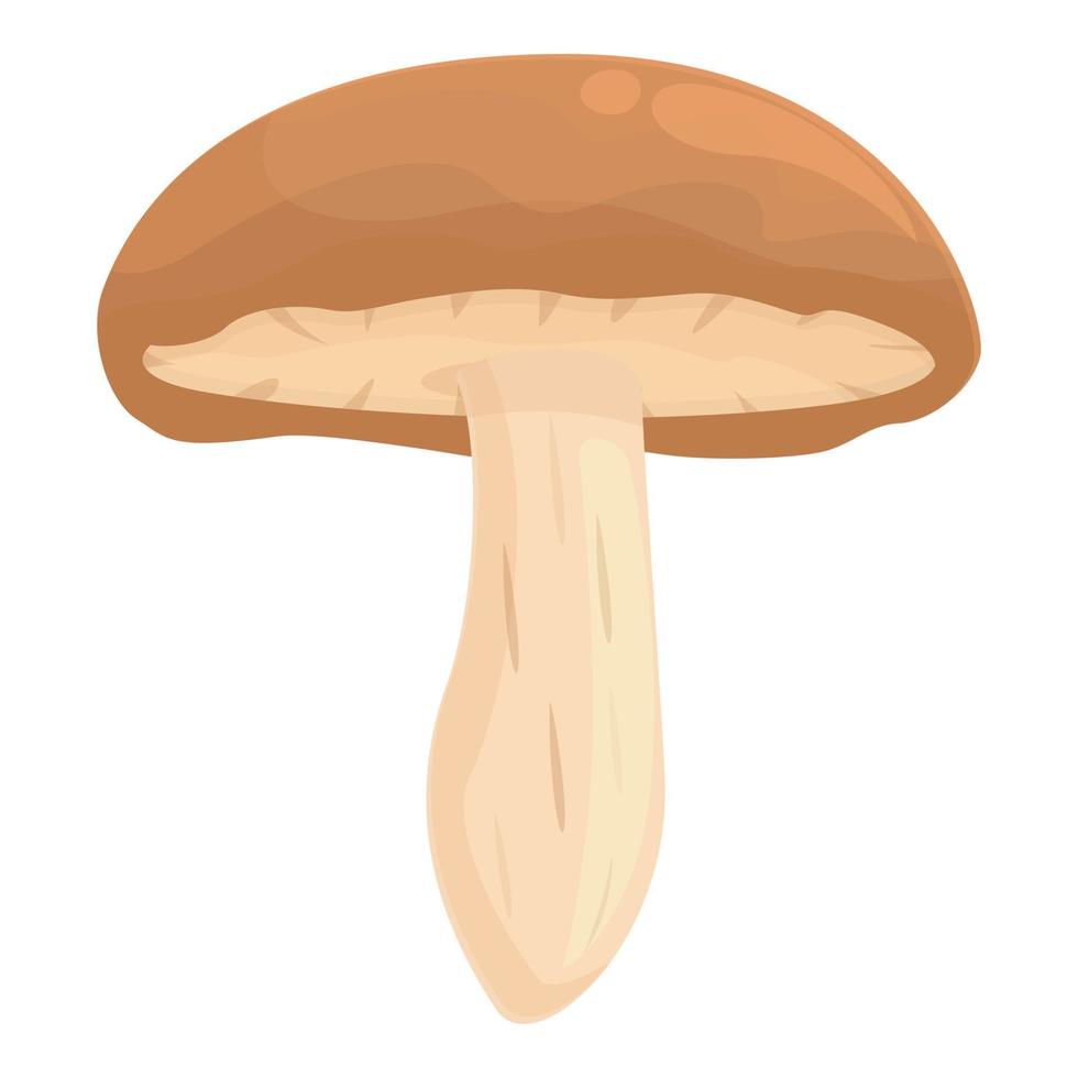 Agriculture shitake icon cartoon vector. Mushroom food vector