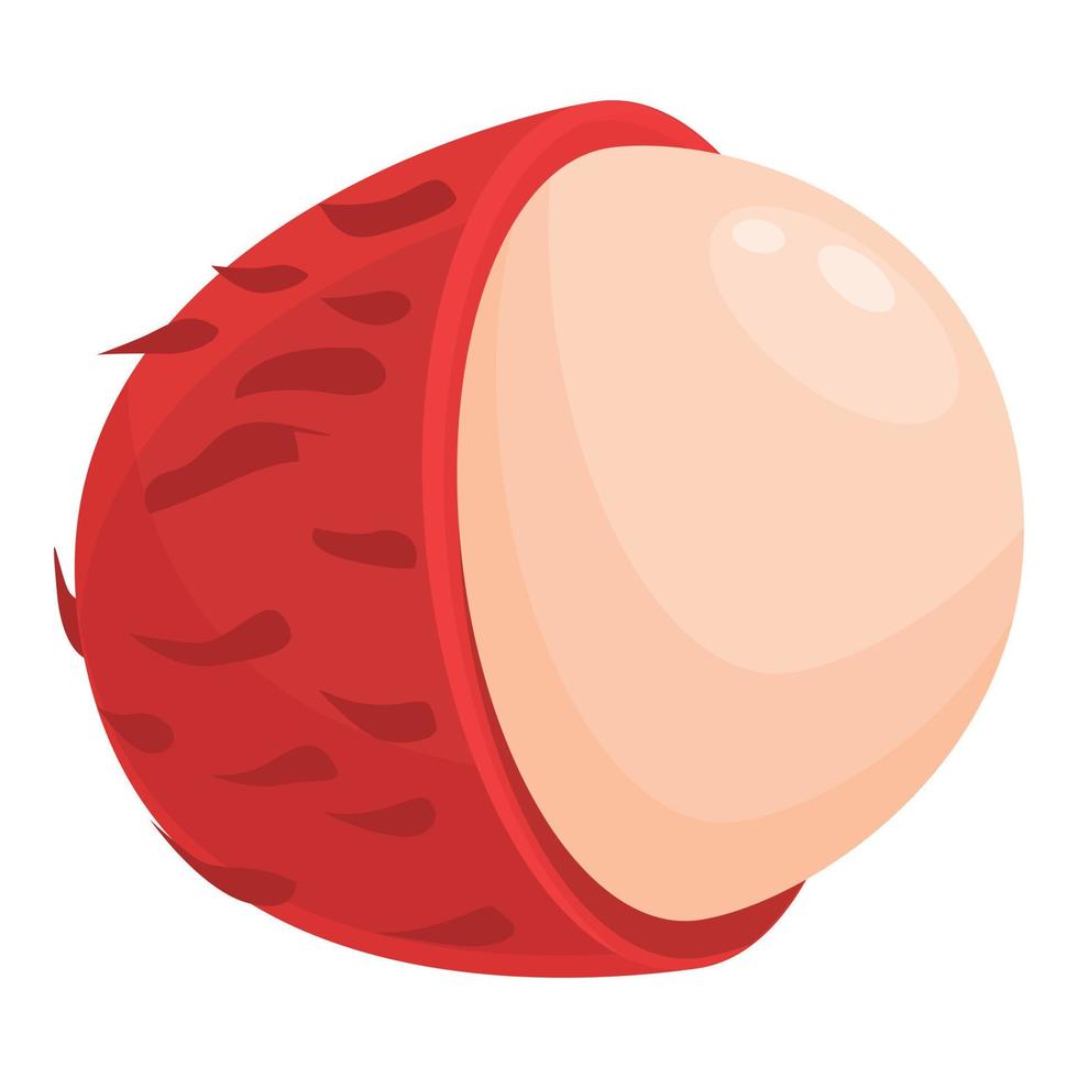 vector de dibujos animados de icono de rambután de temporada. fruta tropical