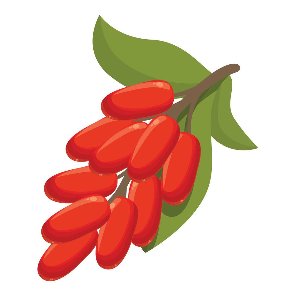 vector de dibujos animados de icono de agracejo fresco. fruta goji