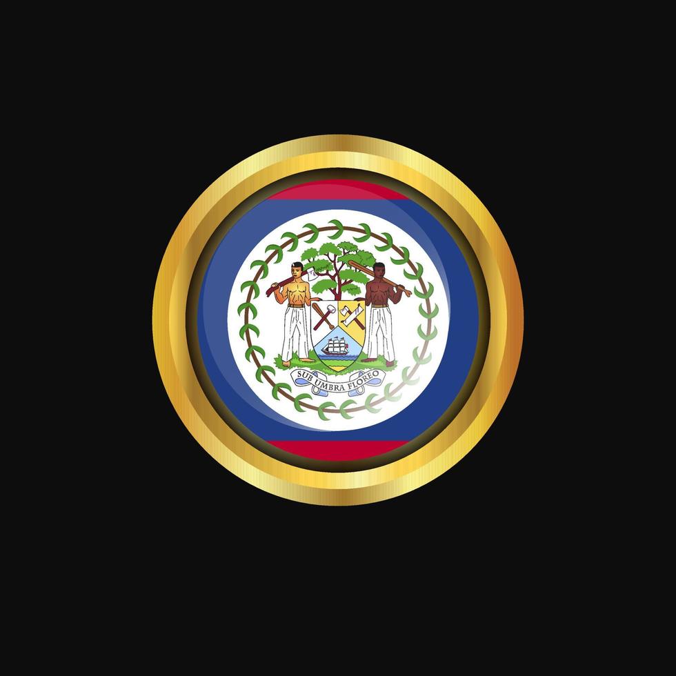 Belize flag Golden button vector