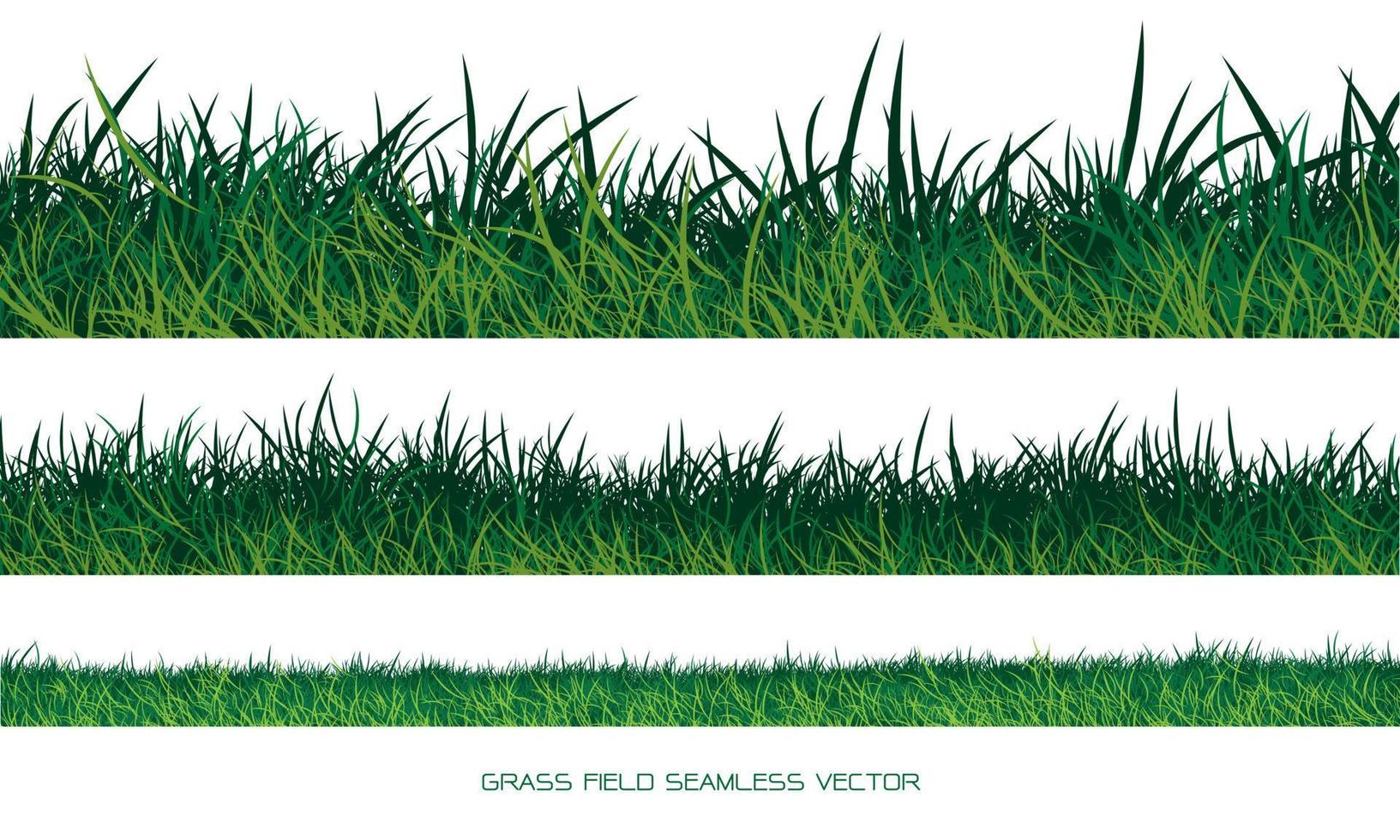 Set of green grass border seamless on white background vector