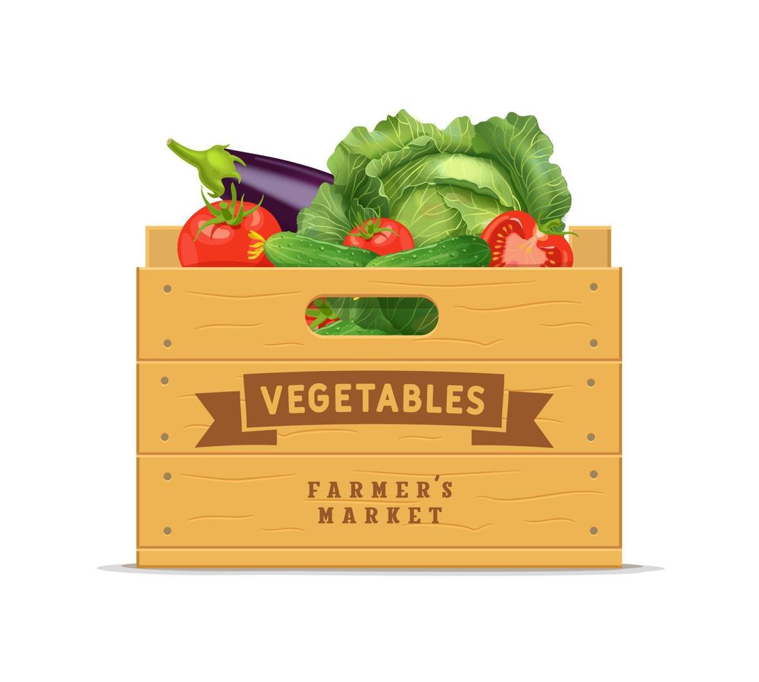 Wooden box with vegetables cabbage, eggplant, tomato and cucumber. Vector illustration isolated on white background.