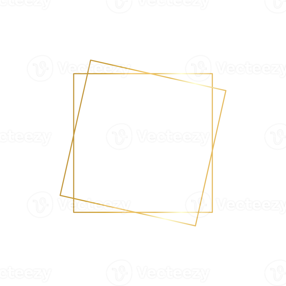 cadre géométrique doré double lignes dorées qui ont l'air luxueux. pour décorer les cartes de mariage png