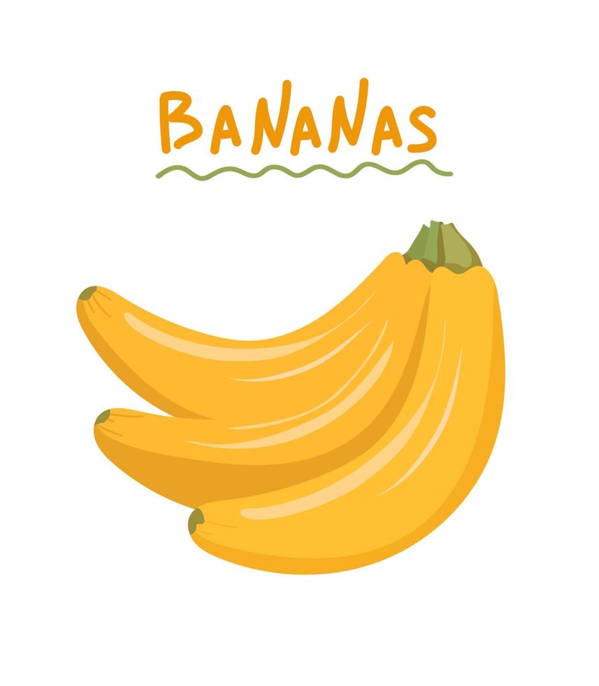 Vector illustration of bananas. Yellow ripe bananas for print, books, postcards, menus, instagram. banana branch