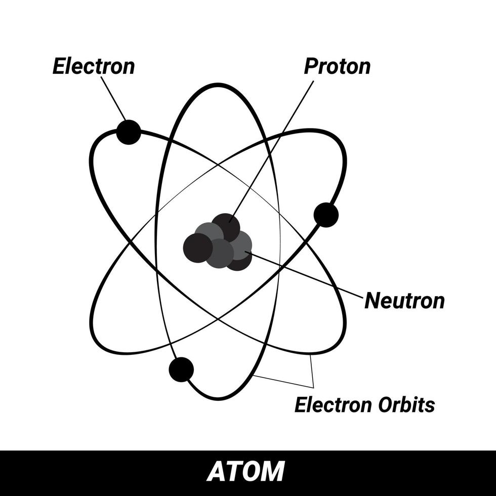 Atom, protons, neutrons and electrons. atomic structure vector consists of protons, neutrons and electrons orbiting the nucleus