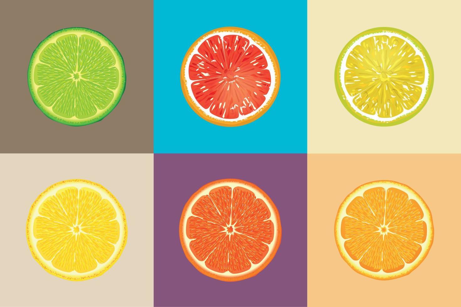 Conjunto de ilustración de vector de rebanada de frutas de limón naranja