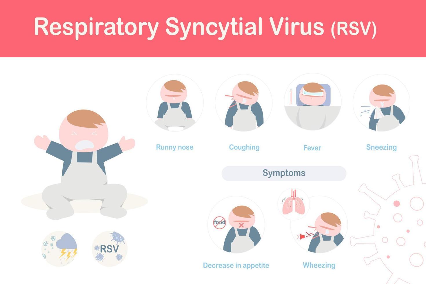 Infographic of respiratory syncytial virus symptoms vector