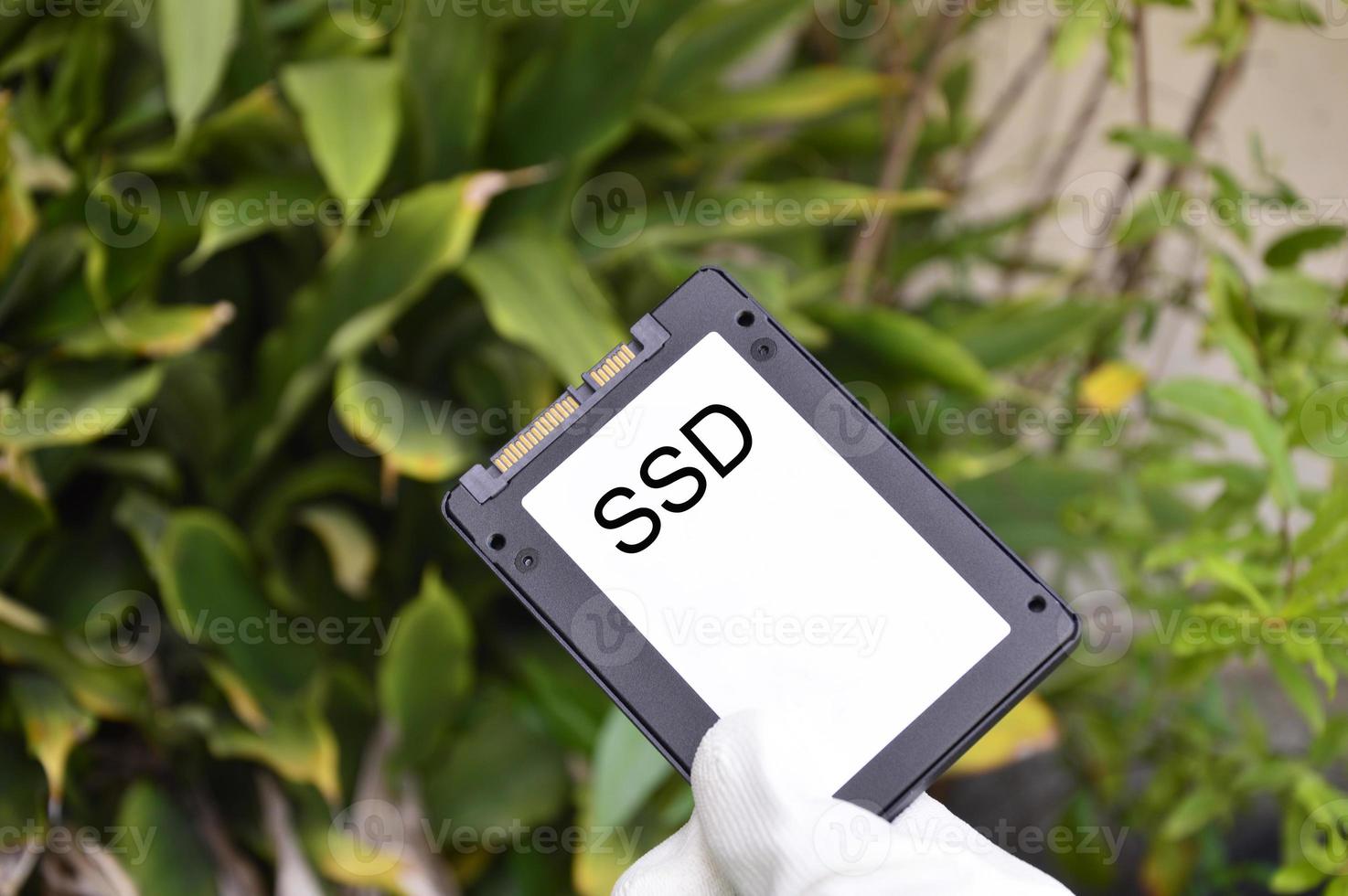 SSD is a hard disk that is more popular to use. old hard disk photo