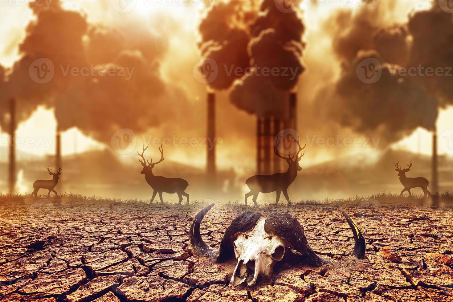 The concept of the effects of air pollution on living organisms photo