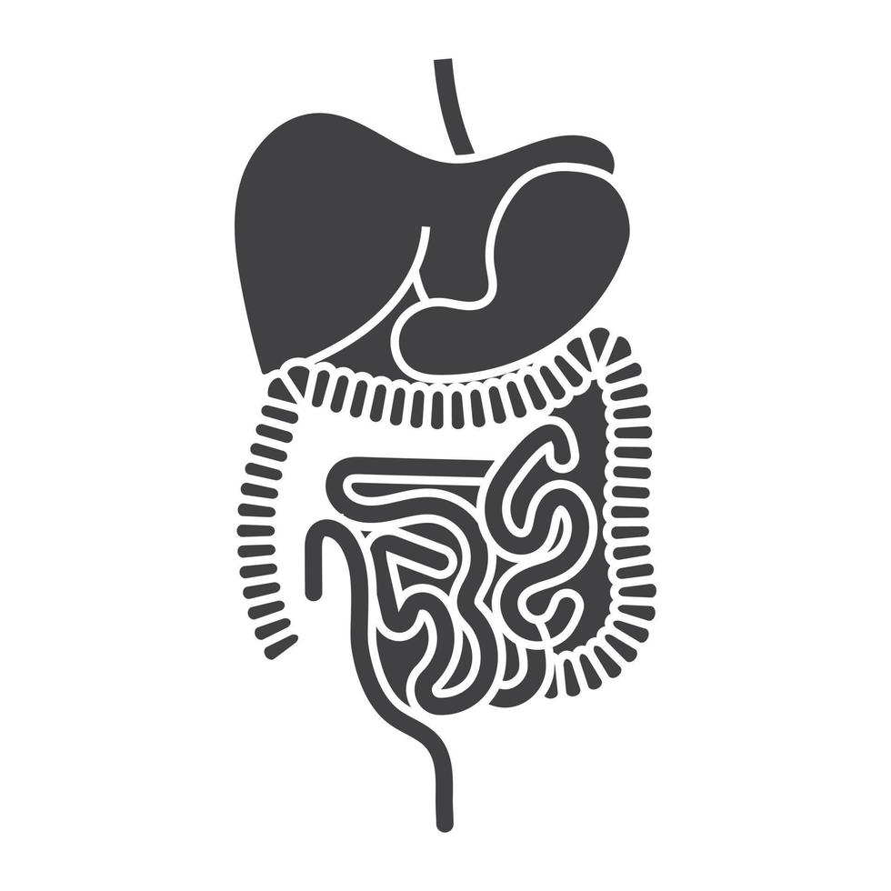 Human digestive system organs flat vector icon for apps and websites