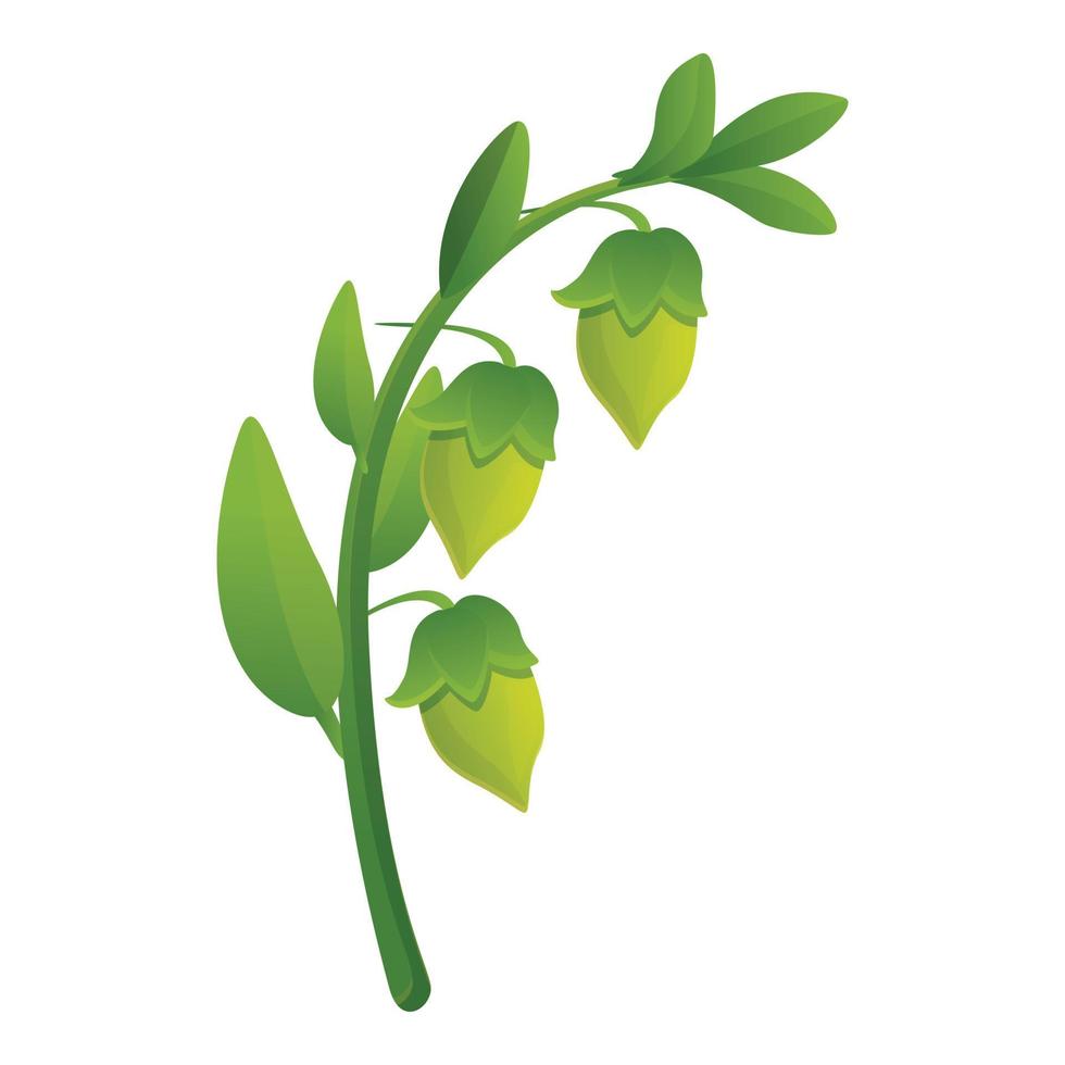 Jojoba branch plant icon, cartoon style vector