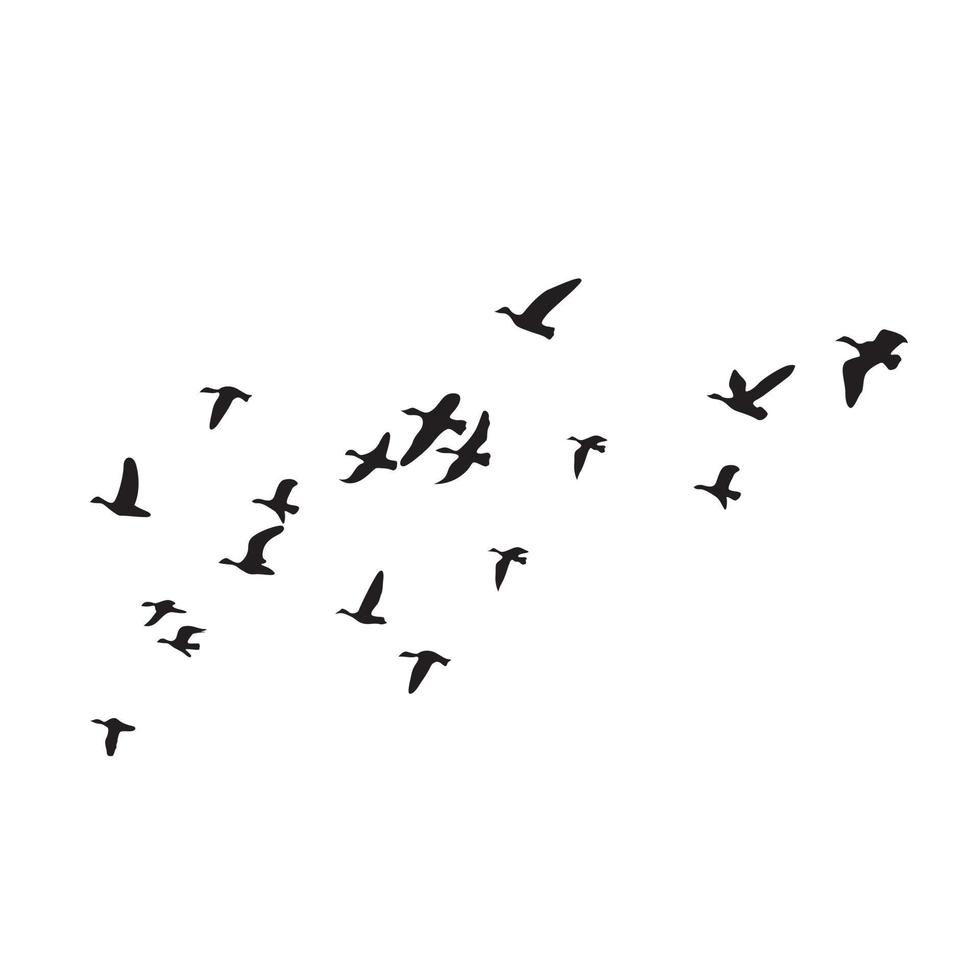 Flying birds vector design.