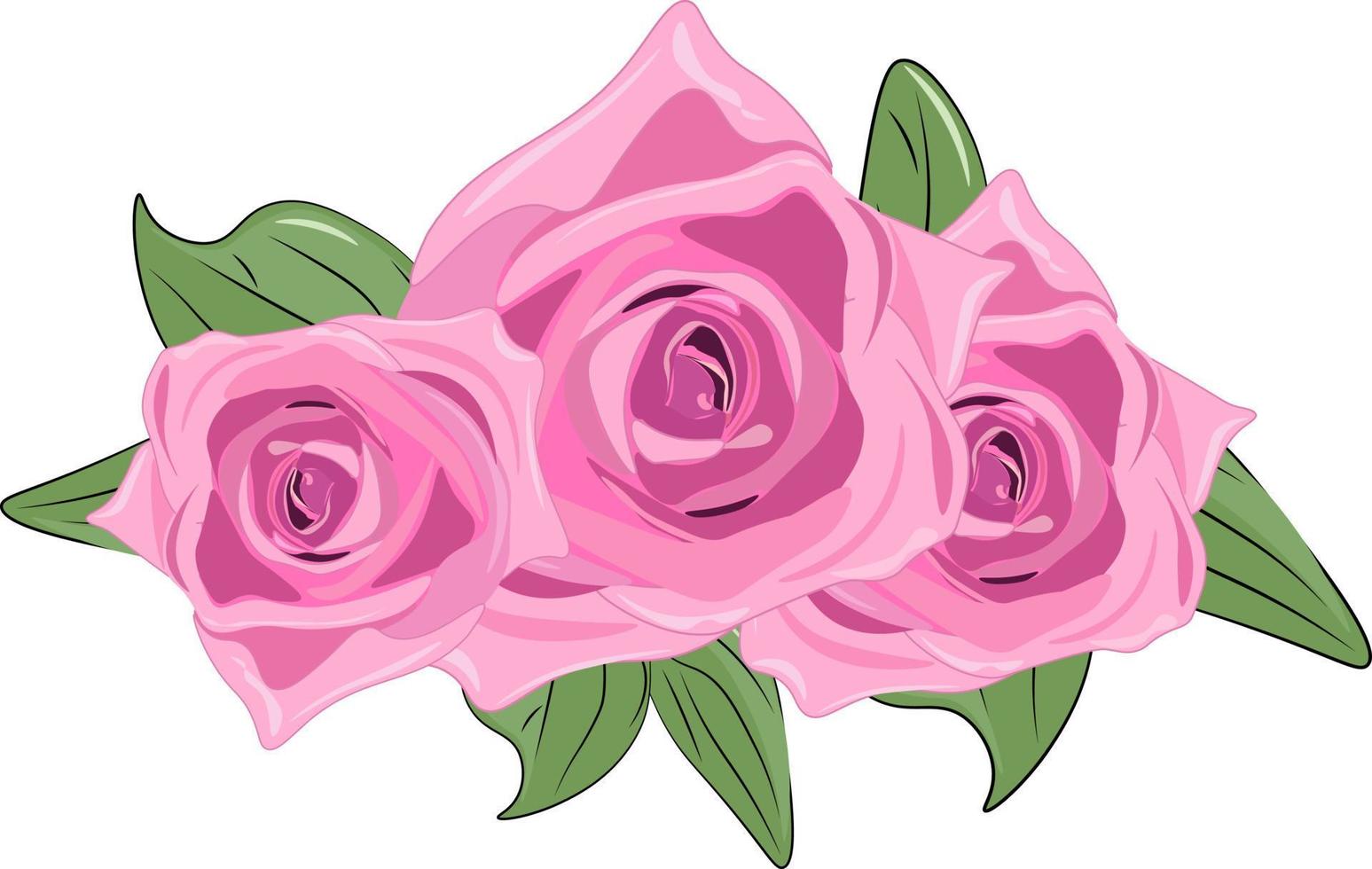 pink rose isolated on white vector