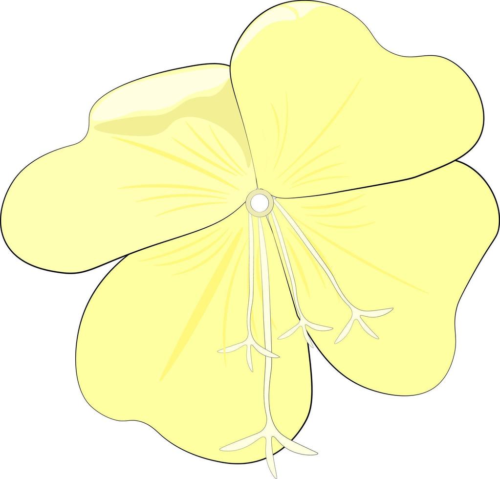 yellow flower isolated on white vector