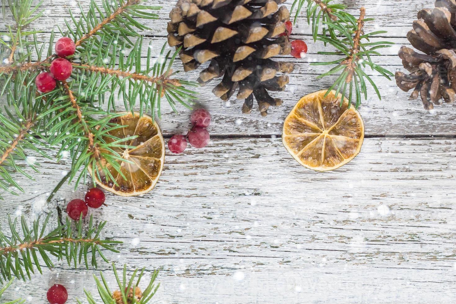 Christmas branches with cones viburnum berries and dry lemon slice photo