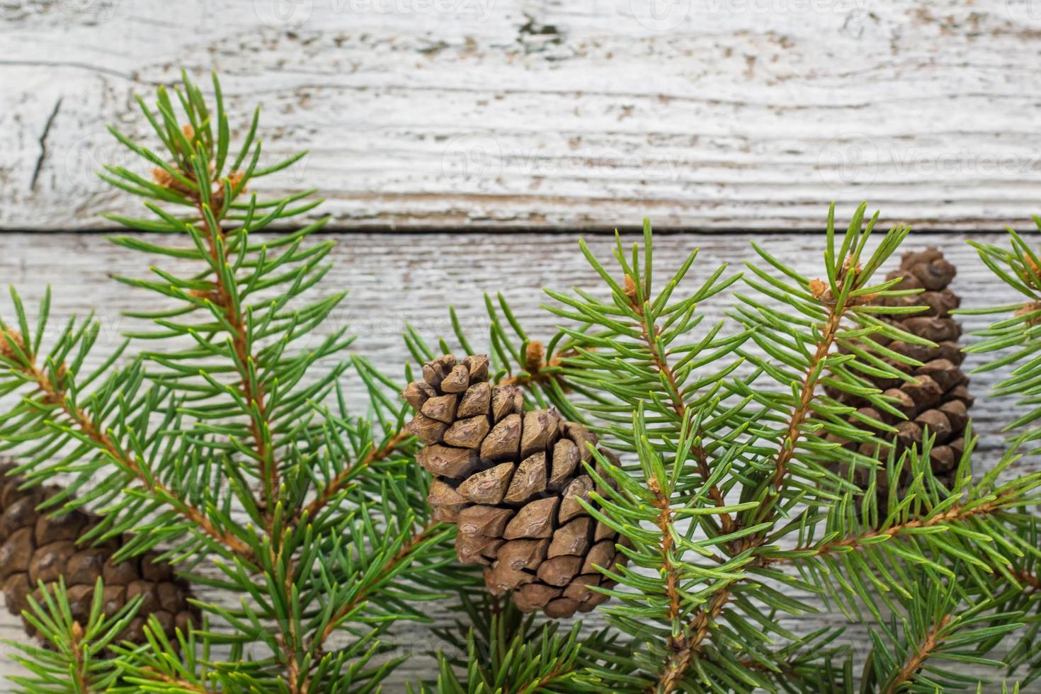 Christmas wooden background with fir tree. Top view copy space photo
