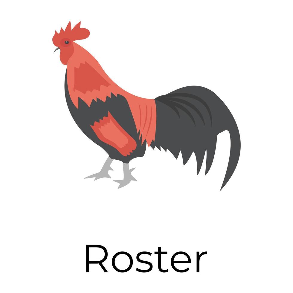 Trendy Roster Concepts vector