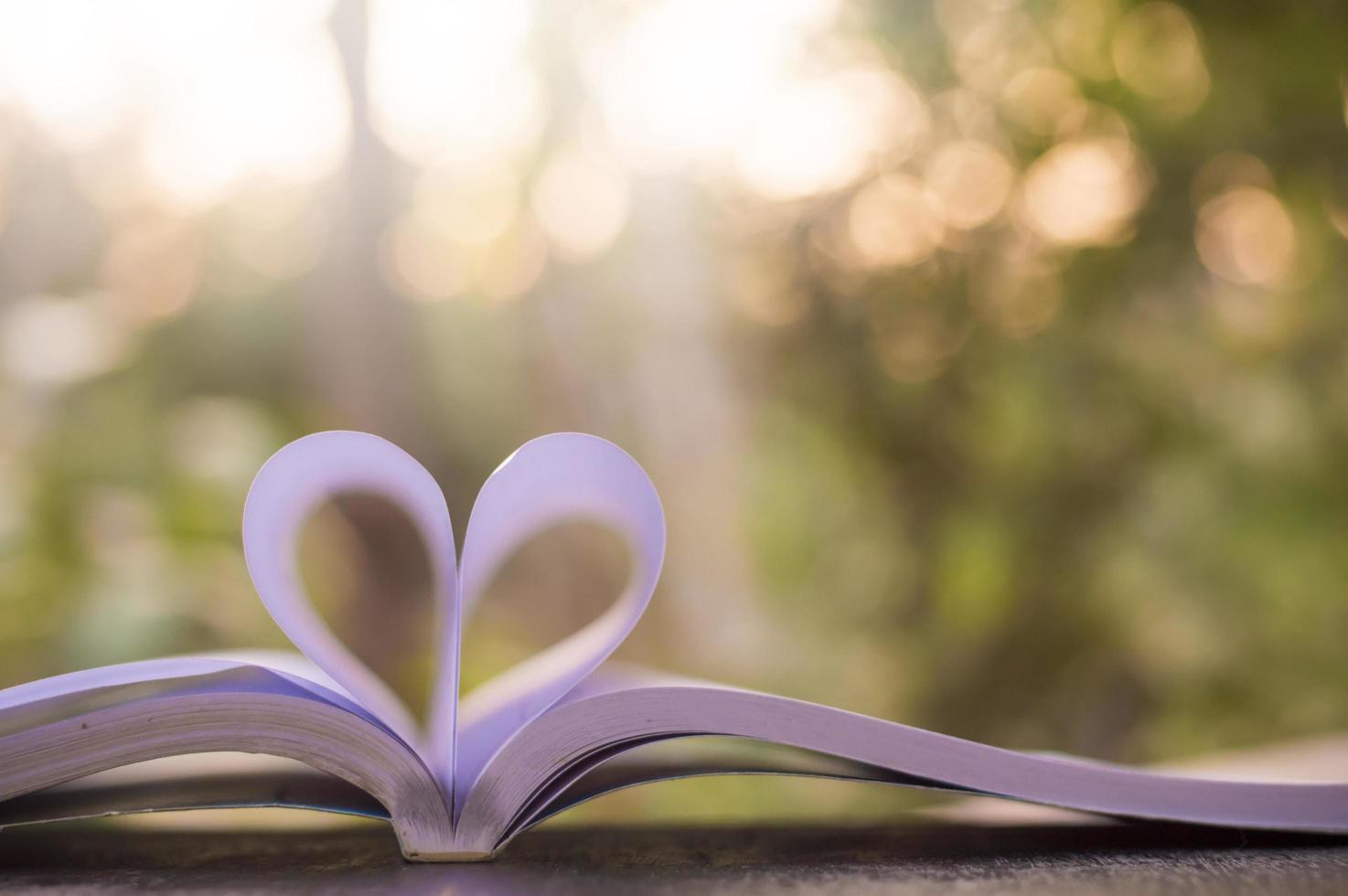 fondo borroso de la página del libro en forma de corazón con luz natural foto