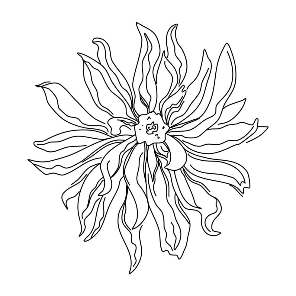 Adobe Illustrator Artwork. Flower One Line Drawing. Continuous Line of Simple Flower Illustration. Abstract contemporary Botanical Design Template for Minimalist Covers, t-Shirt Print. vector