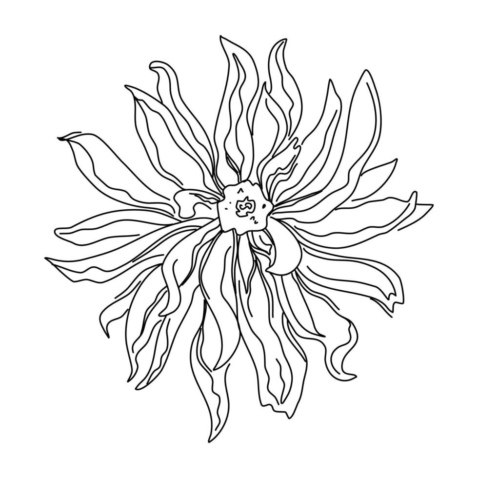 ilustraciones de adobe illustrator. dibujo de una línea de flores. línea continua de ilustración de flor simple. plantilla de diseño botánico contemporáneo abstracto para portadas minimalistas, estampado de camisetas. vector