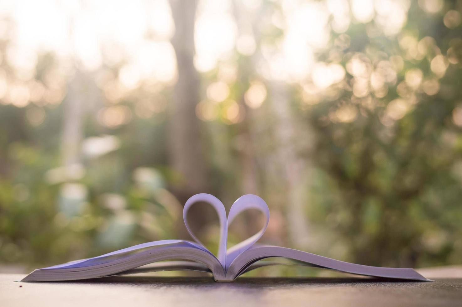 fondo borroso de la página del libro en forma de corazón con luz natural foto